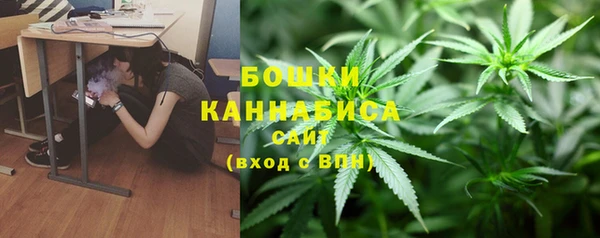 таблы Новозыбков