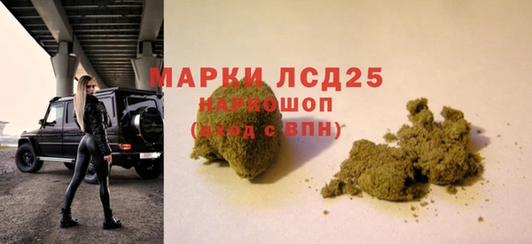 таблы Новозыбков