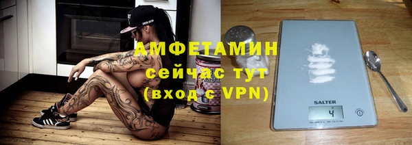 гидра Новодвинск