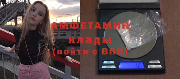 гидра Новодвинск