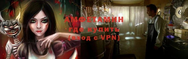 крисы Новокубанск