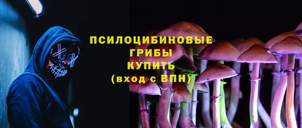 крисы Новокубанск