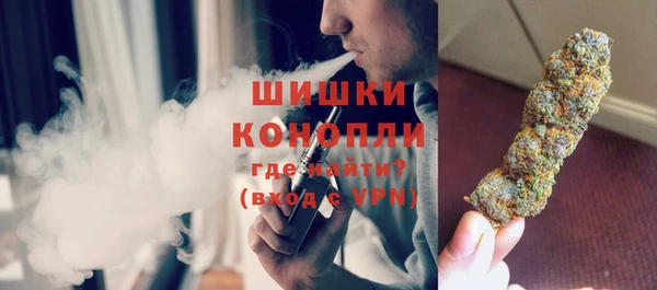 гидра Новодвинск