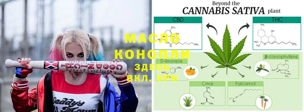 гидра Новодвинск
