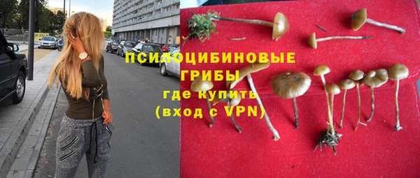 таблы Новозыбков