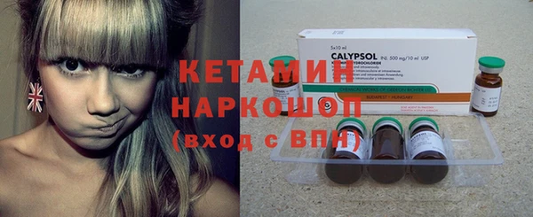 гидра Новодвинск