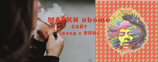 крисы Новокубанск