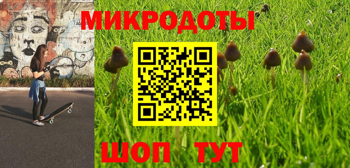 Псилоцибиновые грибы мицелий Лыткарино