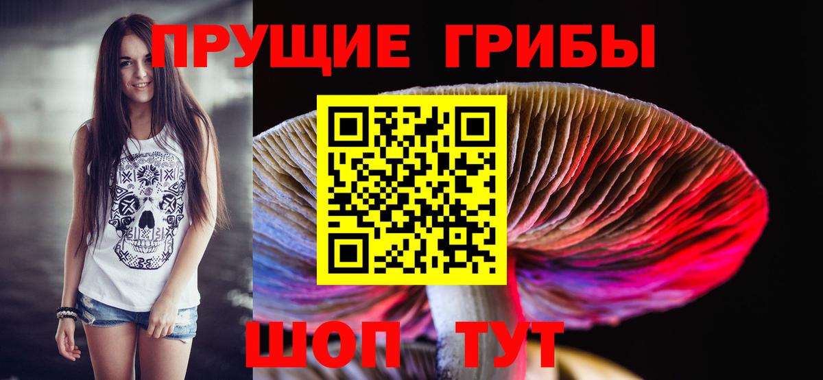 Лыткарино  Галлюциногенные грибы MAGIC MUSHROOMS  где купить наркотик  Вход с VPN 