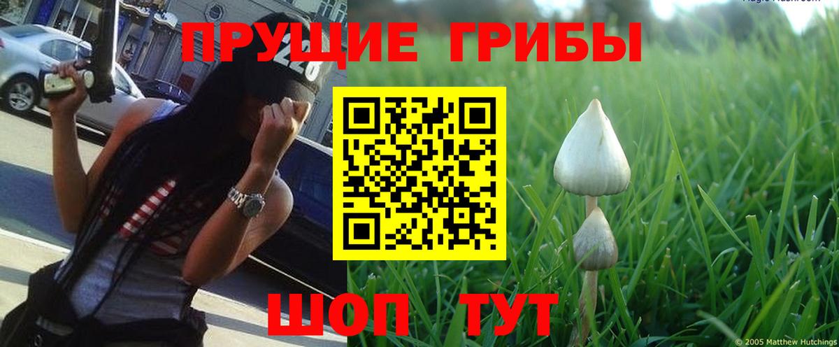 Псилоцибиновые грибы ЛСД Лыткарино