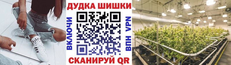 Марихуана Amnesia Лыткарино