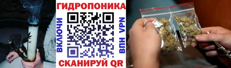 Шишки марихуана планчик  как найти   Лыткарино 